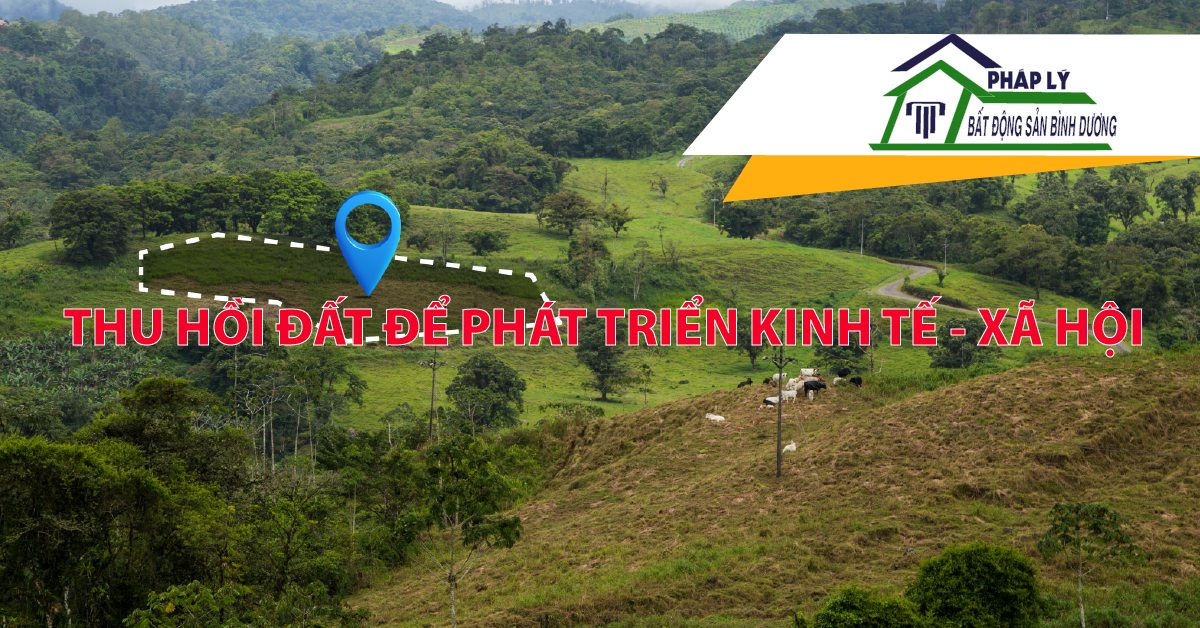 Những trường hợp bị thu hồi đất năm 2024